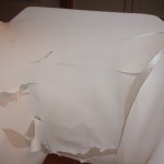 lampshade, liner, repair, brittle