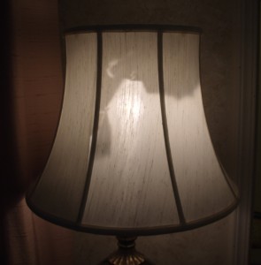 lampshade, liner, replace, repair, restore, shade