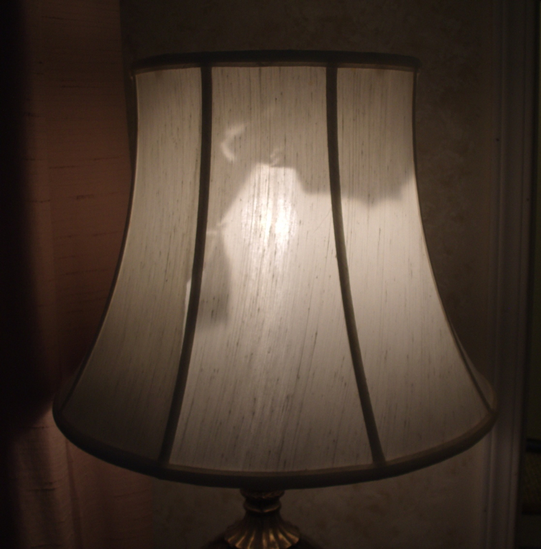 Lampshade Shade Liner Repair Re, How To Replace Lampshade Cover